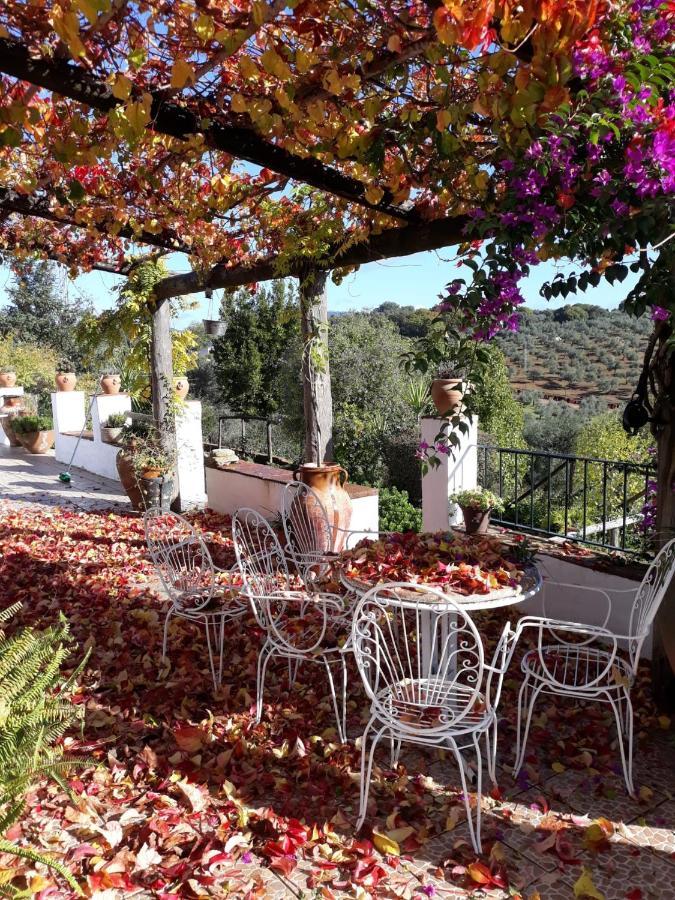 Villa Botero Constantina Exterior foto